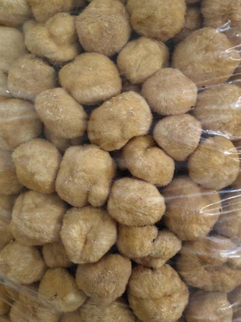 猴头菇干货特级正宗猴头菇煲汤无硫精品