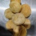 猴头菇干货特级正宗猴头菇煲汤无硫精品