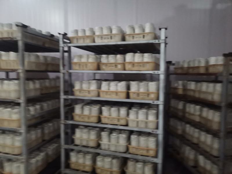 黑木耳菌棒，菌包定制加工，源头生产厂家，支持视频