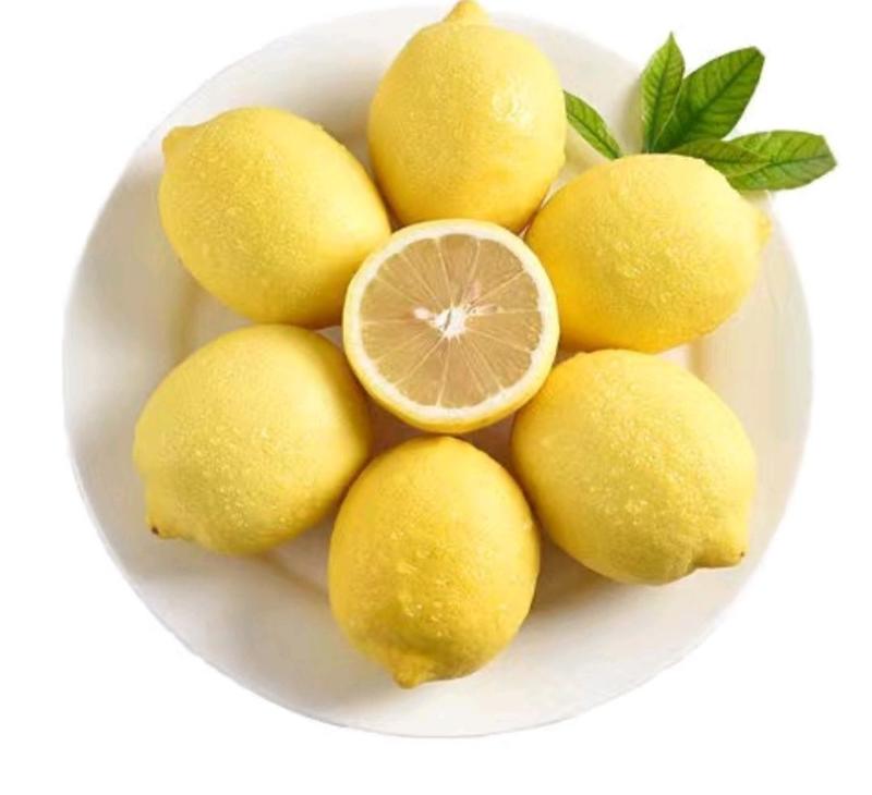 【尤力克柠檬】安岳柠檬产地现摘现发质量保障对接全国市场