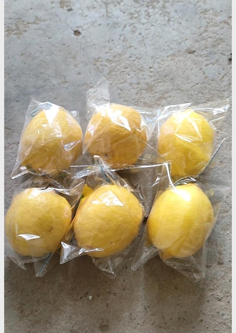 【尤力克柠檬】安岳柠檬产地现摘现发质量保障对接全国市场