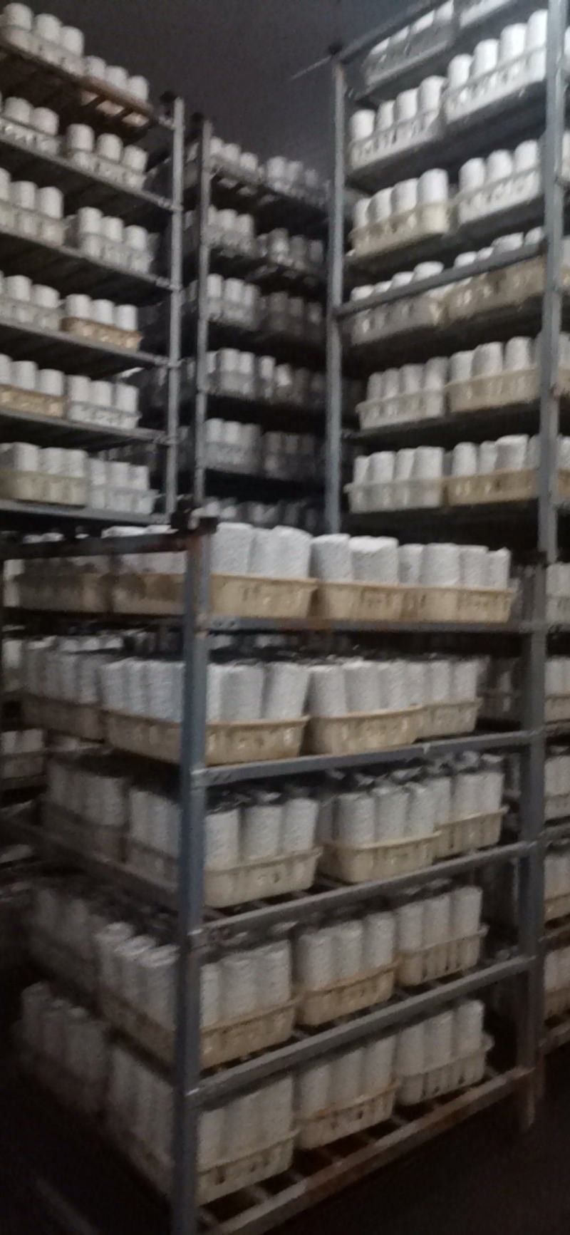 菌包菌棒订制，白玉木耳菌棒预订，可议价保质保量发满菌发货
