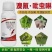 20%溴氰吡虫啉！主打：抗性蚜虫，叶蝉，蓟马，盲蝽蟓等