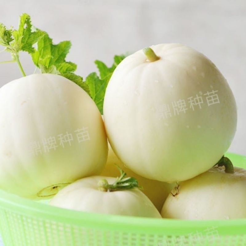 鼎牌雪奶香1号甜瓜种子，400粒脆甜中带奶味