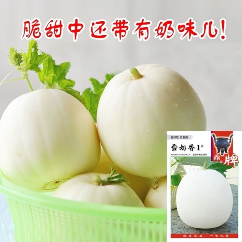 鼎牌雪奶香1号甜瓜种子，400粒脆甜中带奶味