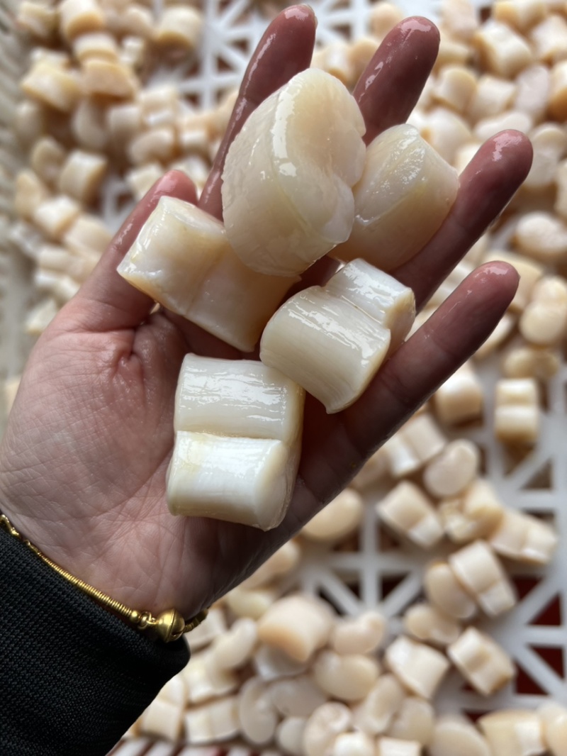 绿贝，带子半壳，一手货源，新鲜有保障
