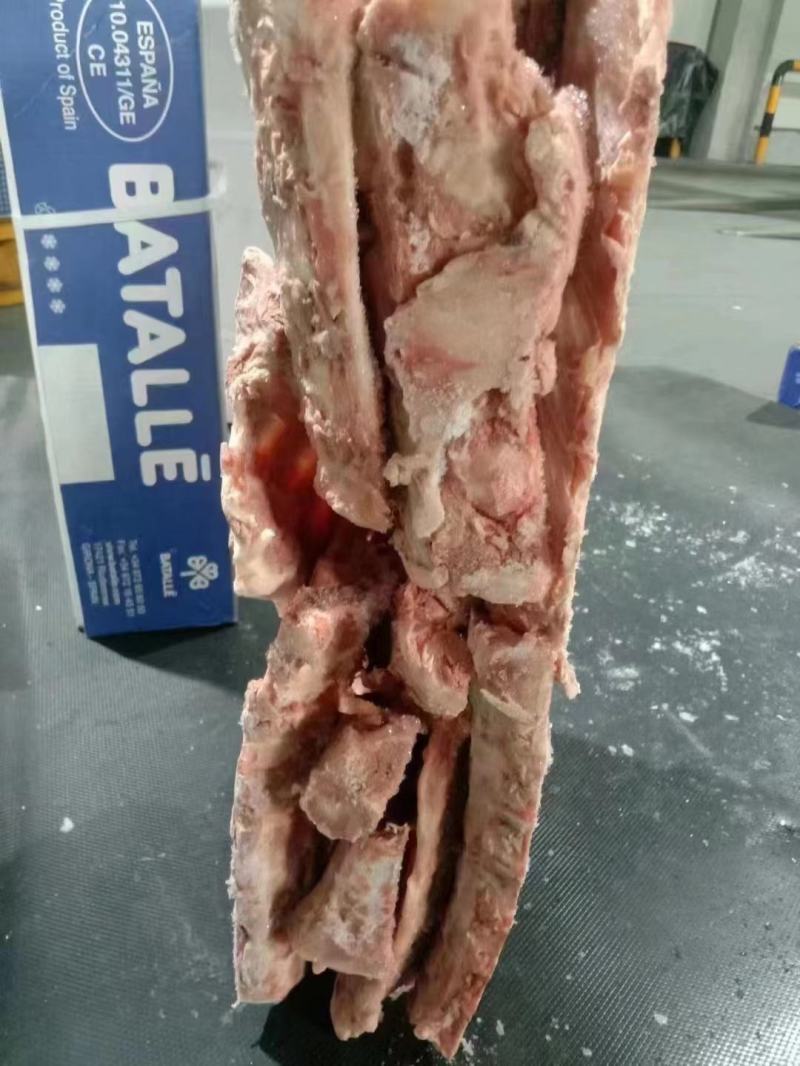 4431龙骨