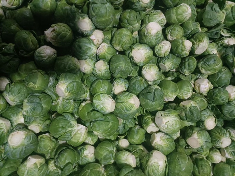 孢子甘蓝，一件代发，直接打电话平台无法聊天