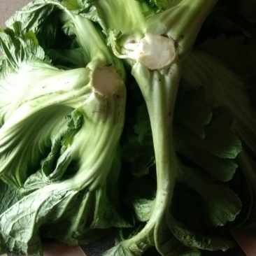 青菜