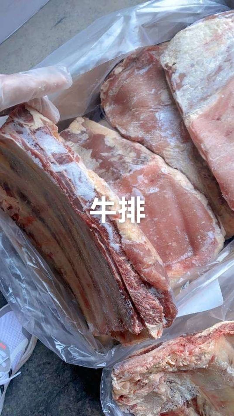 山羊