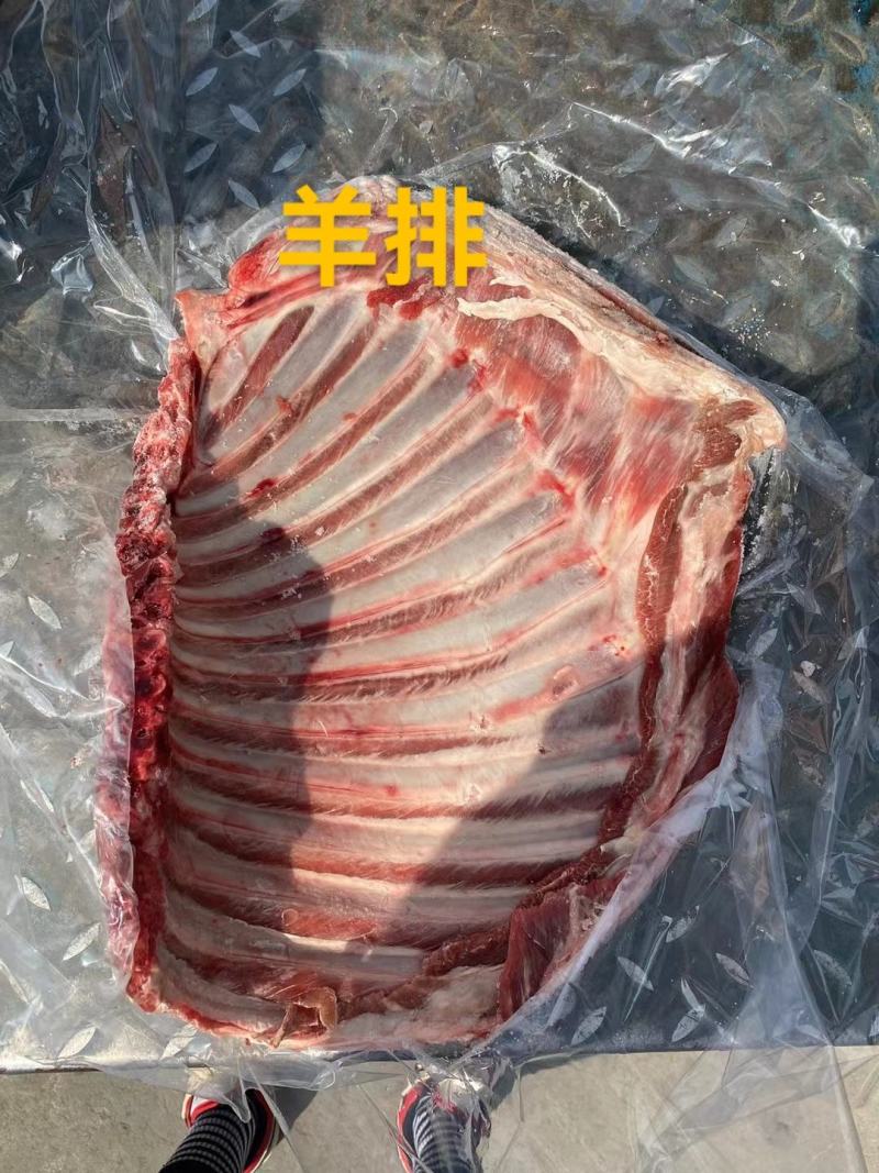 山羊