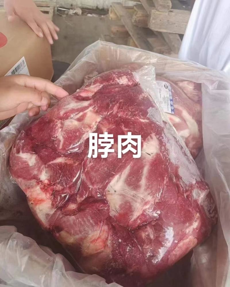 山羊