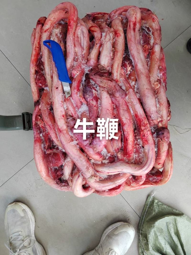 山羊