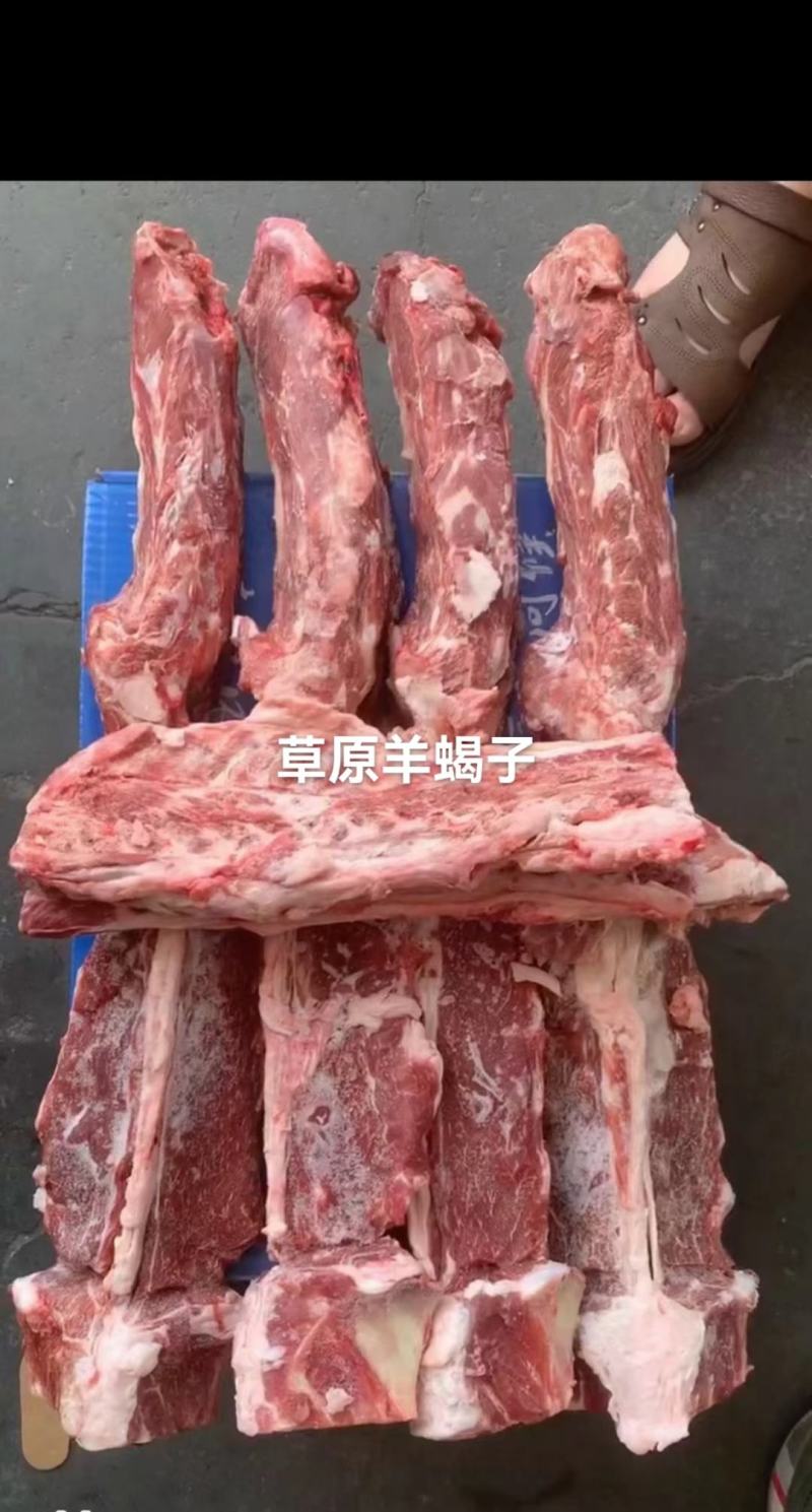 山羊