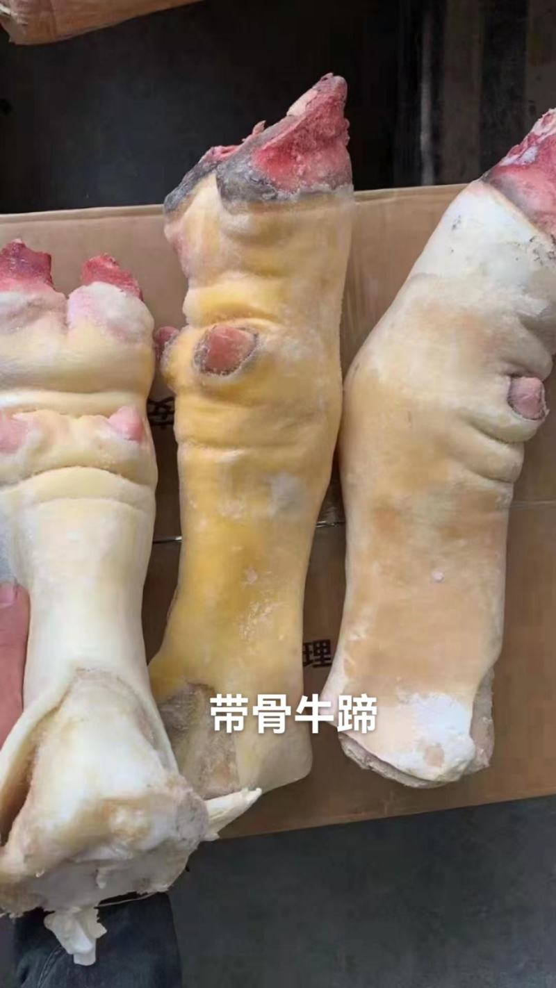 山羊