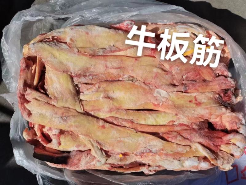 山羊