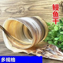 海鳗鱼干淡干鳗鱼干，盐干鳗鱼干，八成干度鳗鱼干，一手货源