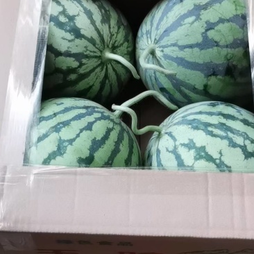 精品8424美都