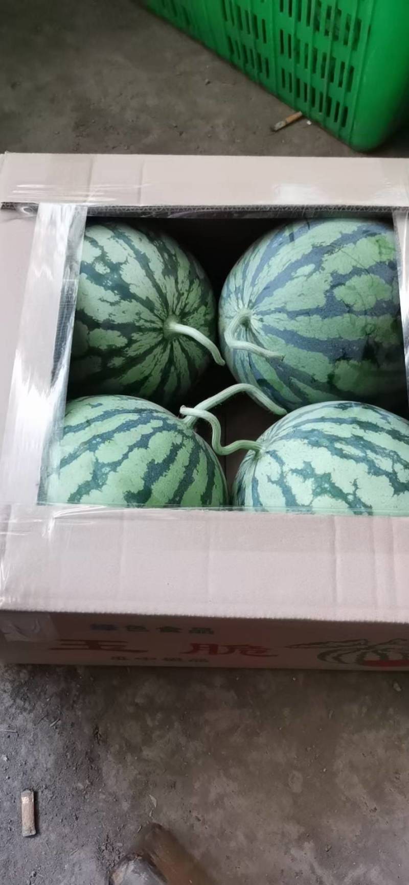 精品8424美都