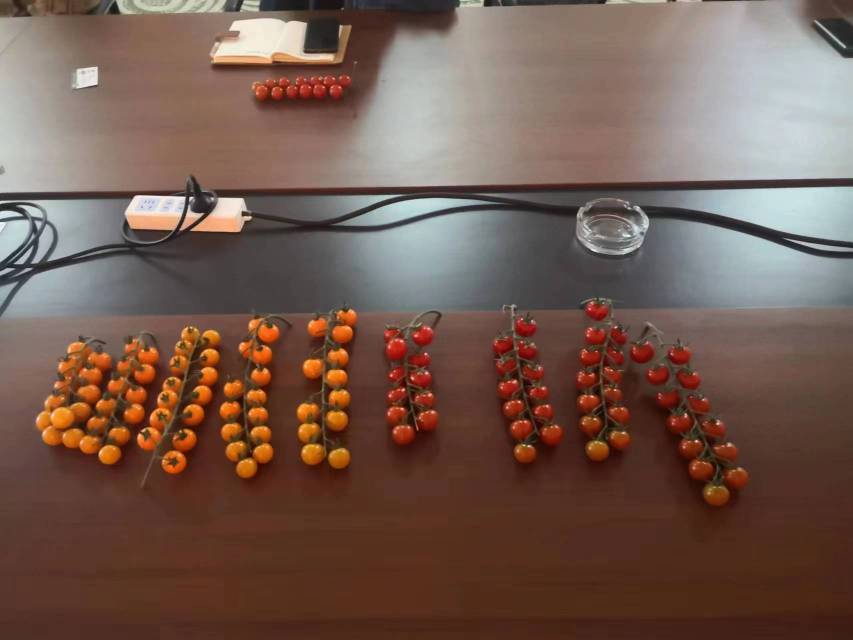 西红柿在常温下的保存状态