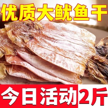 新货优质大鱿鱼干批发干鱿鱼批发深海大鱿鱼干炒菜煲汤铁