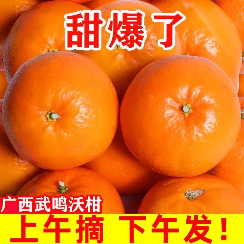广西云南武鸣沃柑贵妃柑橘子超甜应季水果沃柑包邮