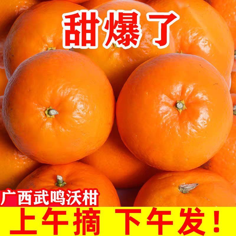 广西云南武鸣沃柑贵妃柑橘子超甜应季水果沃柑包邮