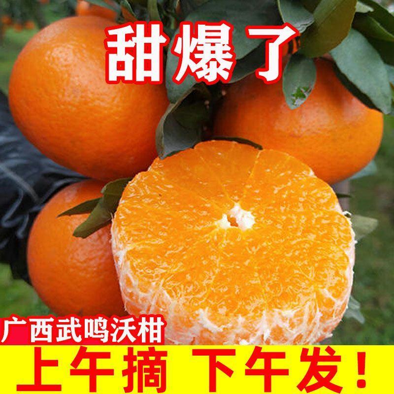 广西云南武鸣沃柑贵妃柑橘子超甜应季水果沃柑包邮