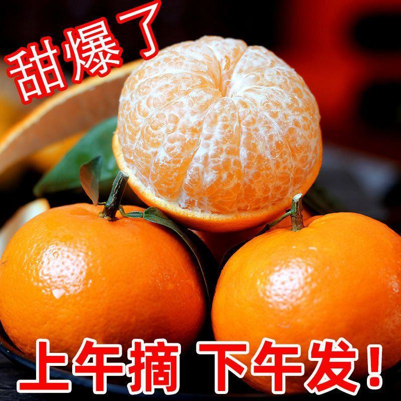 广西云南武鸣沃柑贵妃柑橘子超甜应季水果沃柑包邮