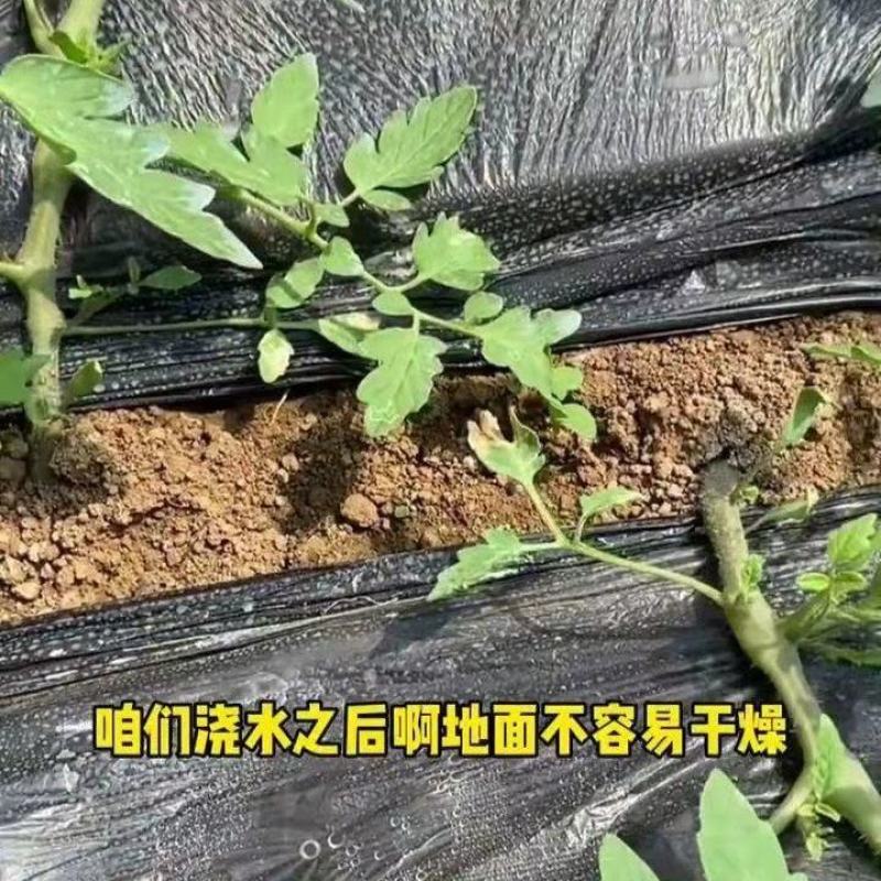 农用黑地膜除草保湿保温膜蔬菜果树地膜草莓专膜地膜包邮