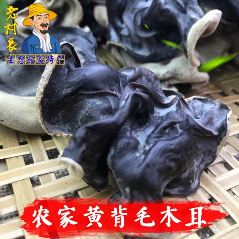 【脆木耳】火锅食材木耳干货农家特产干木耳白背黑木耳毛木耳