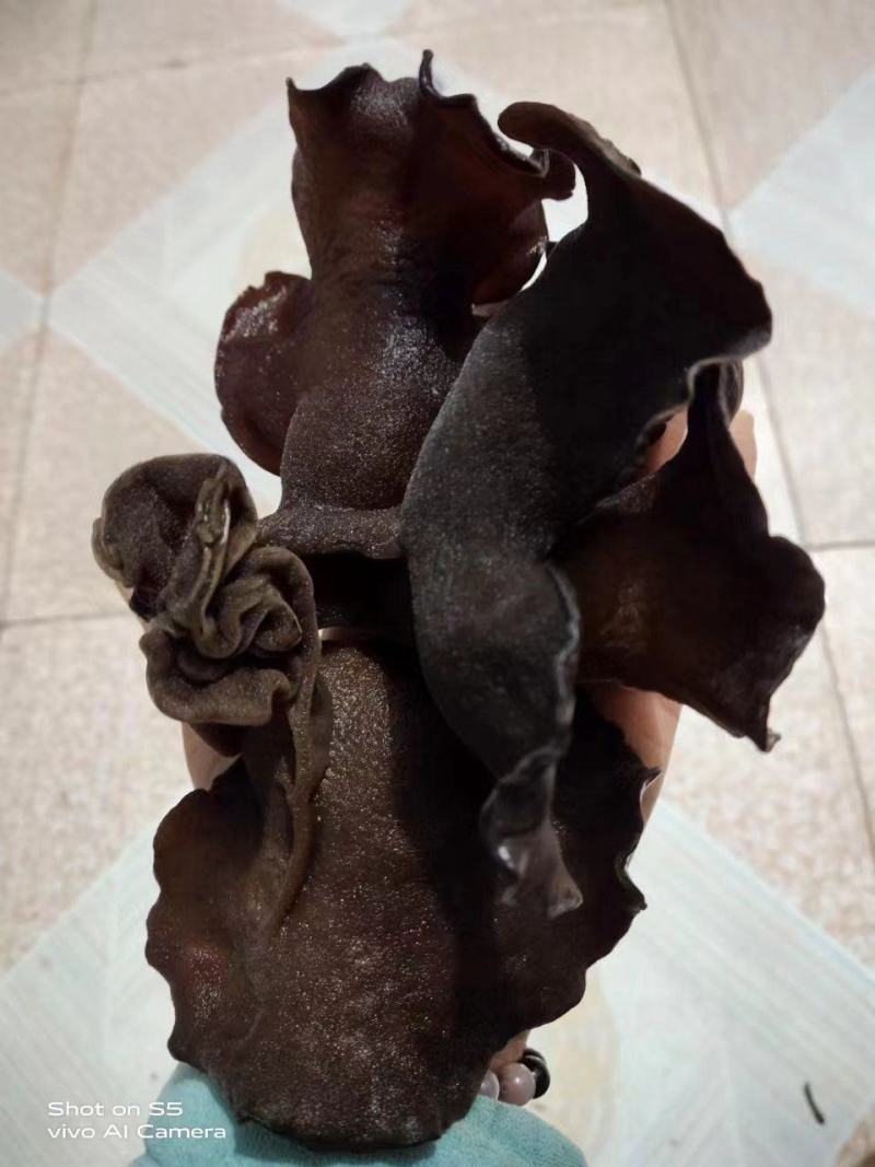 大木耳干货优选脆木耳火锅减脂毛木耳涮火锅食材干木耳