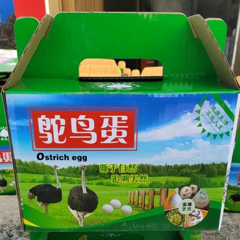 养殖场直供鸵鸟蛋！