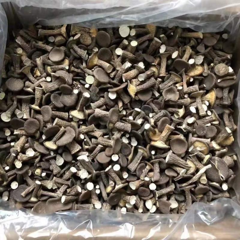 【虎奶菇】云南虎奶菌干货500g土特产菌菇干蘑菇菌汤包虎