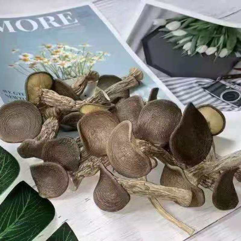 【虎奶菇】云南虎奶菌干货500g土特产菌菇干蘑菇菌汤包虎