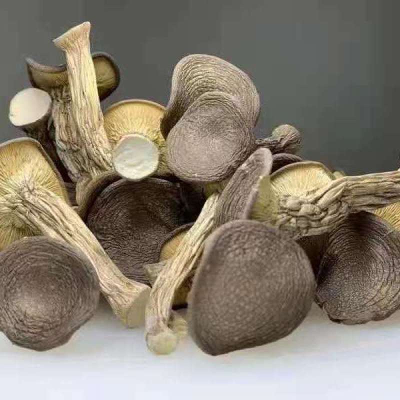 【虎奶菇】云南虎奶菌干货500g土特产菌菇干蘑菇菌汤包虎