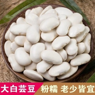云南白芸豆