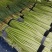 【蒜薹】河南红冒蒜苔大量现货供应各大市场电商电商