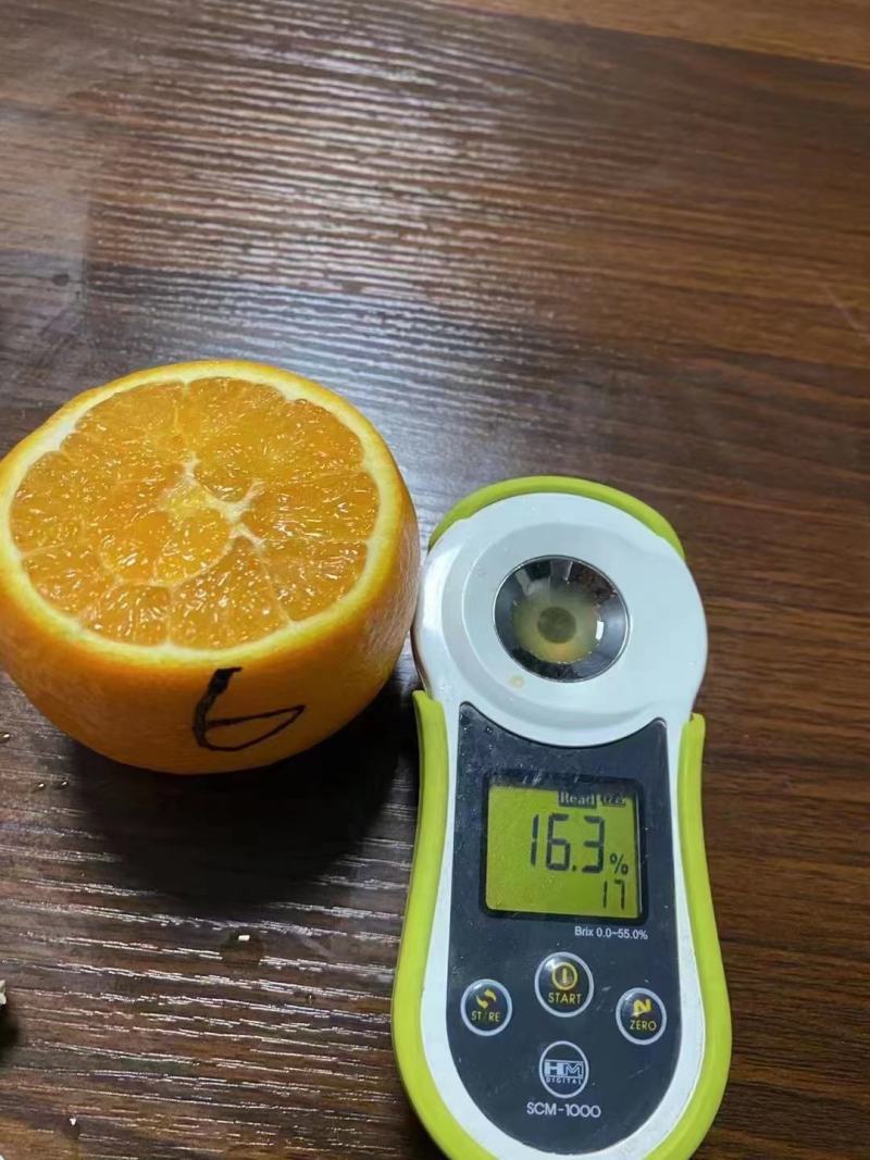 热卖夏橙电商社团，商超，市场等大型批发