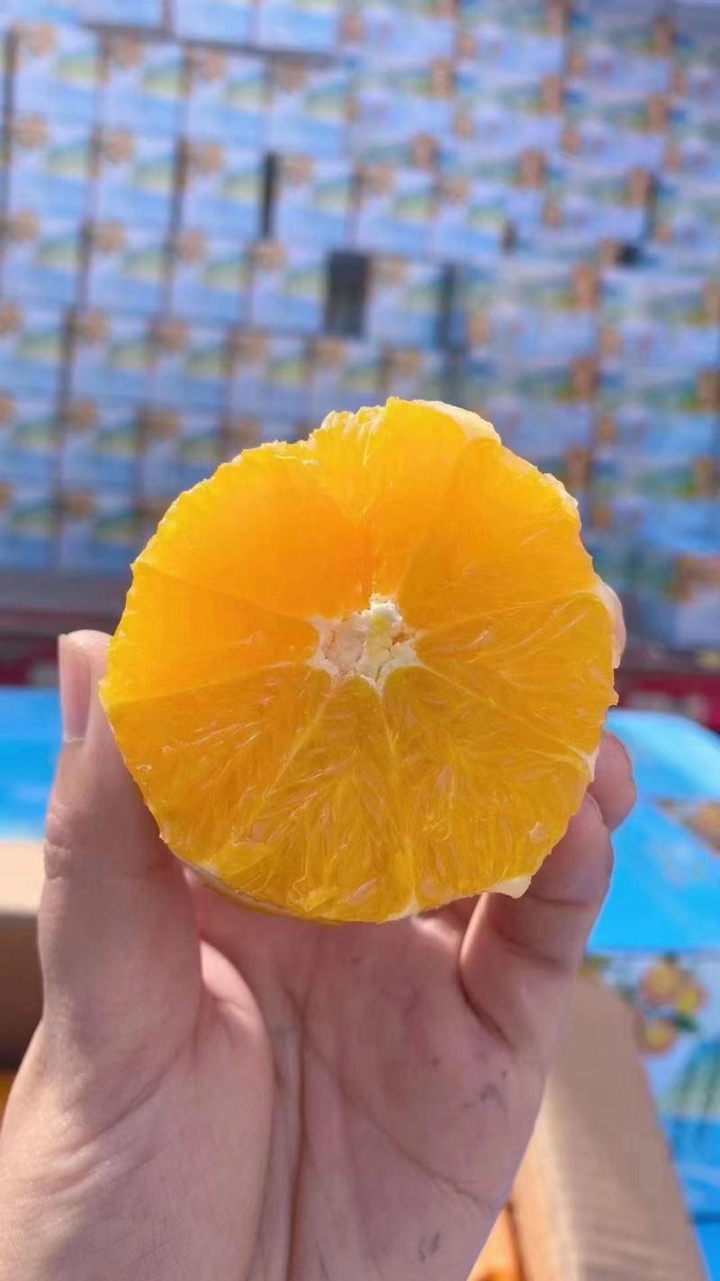 热卖夏橙电商社团，商超，市场等大型批发