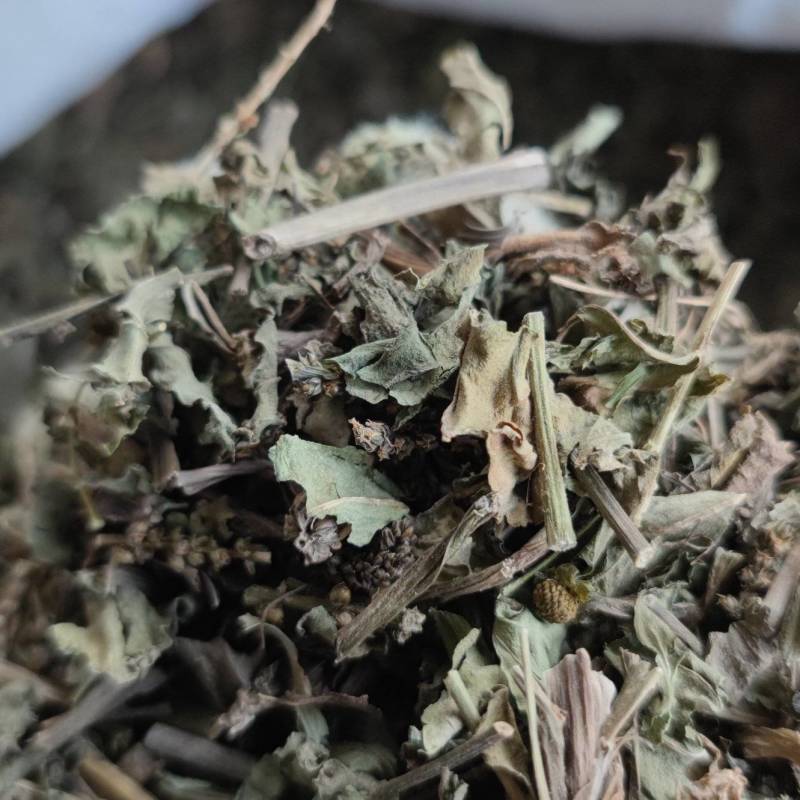 车前草自然晾晒无硫纯干青车前草批发零售各种中药材