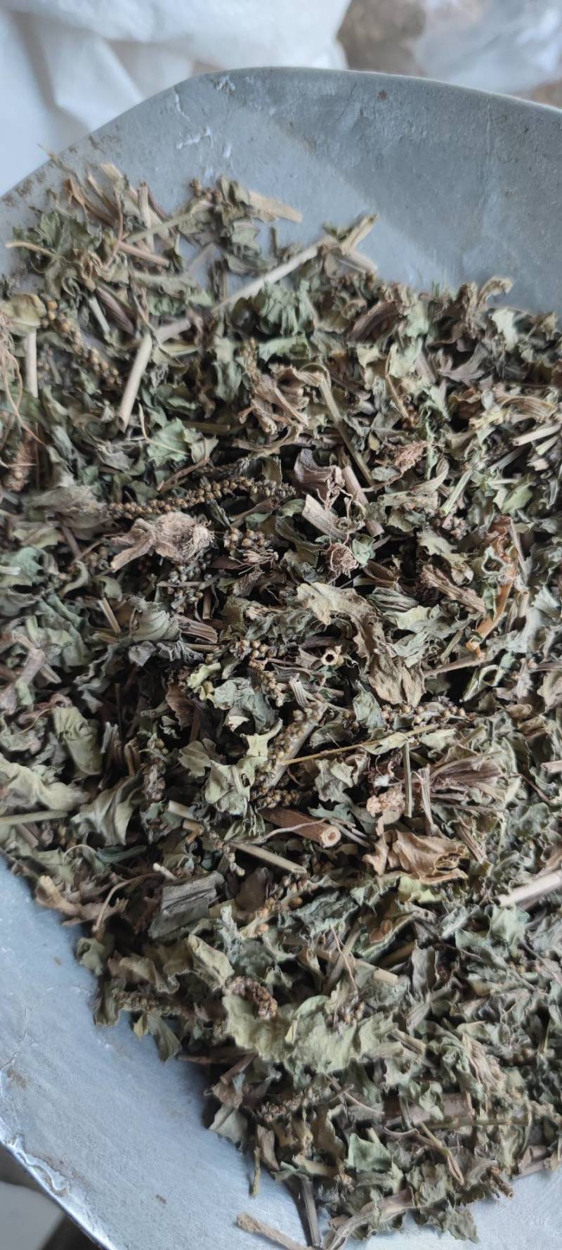 车前草自然晾晒无硫纯干青车前草批发零售各种中药材