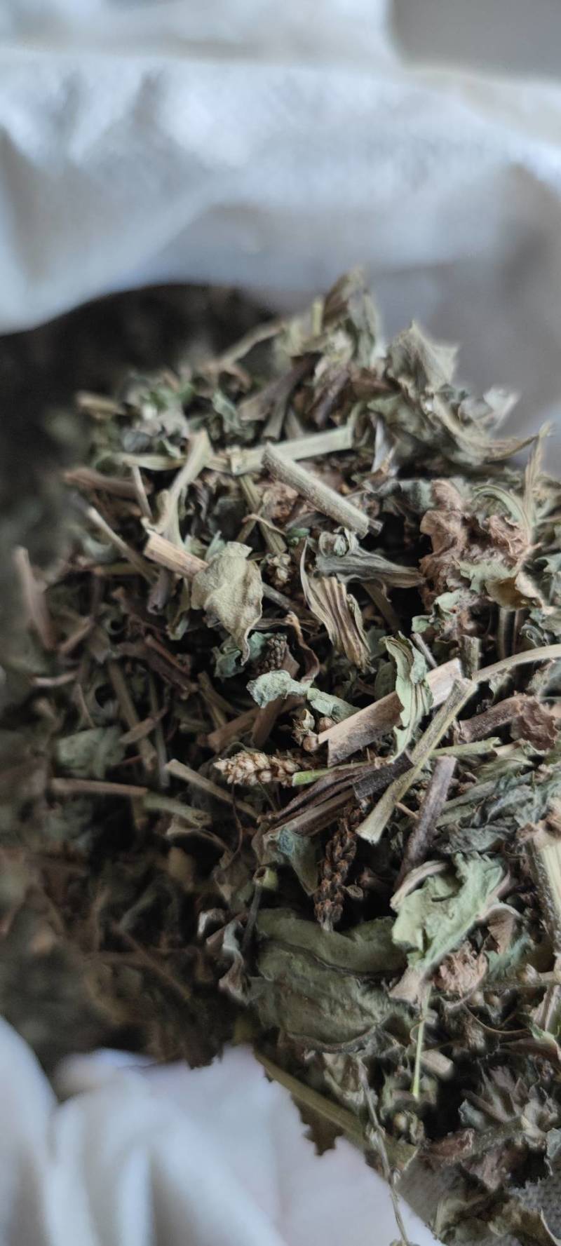 车前草自然晾晒无硫纯干青车前草批发零售各种中药材