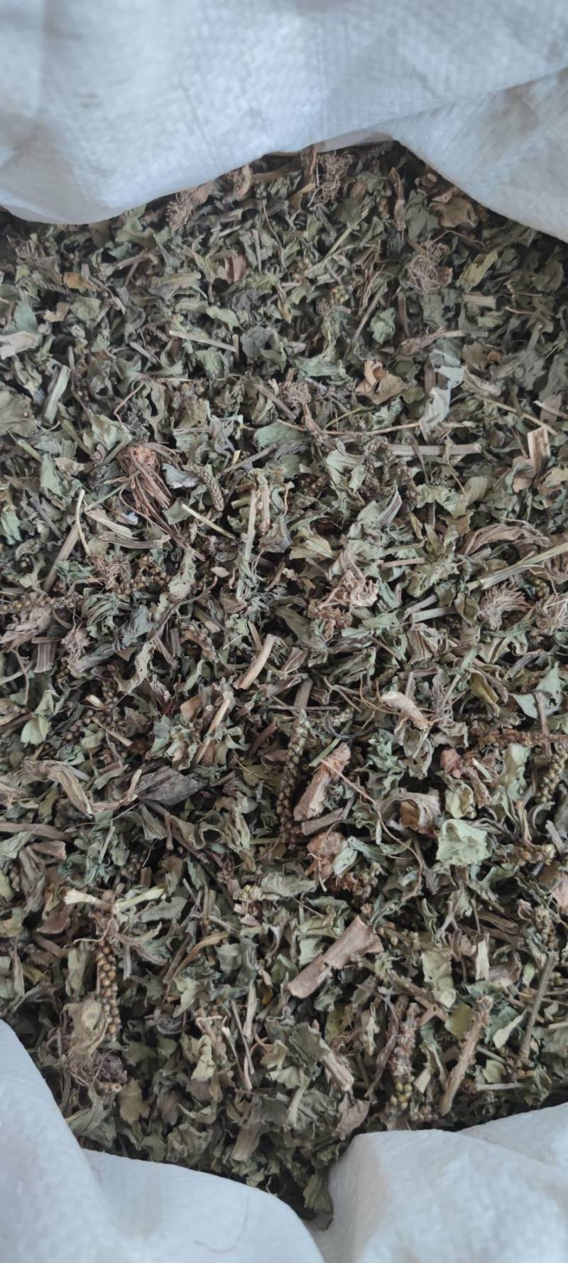 车前草自然晾晒无硫纯干青车前草批发零售各种中药材
