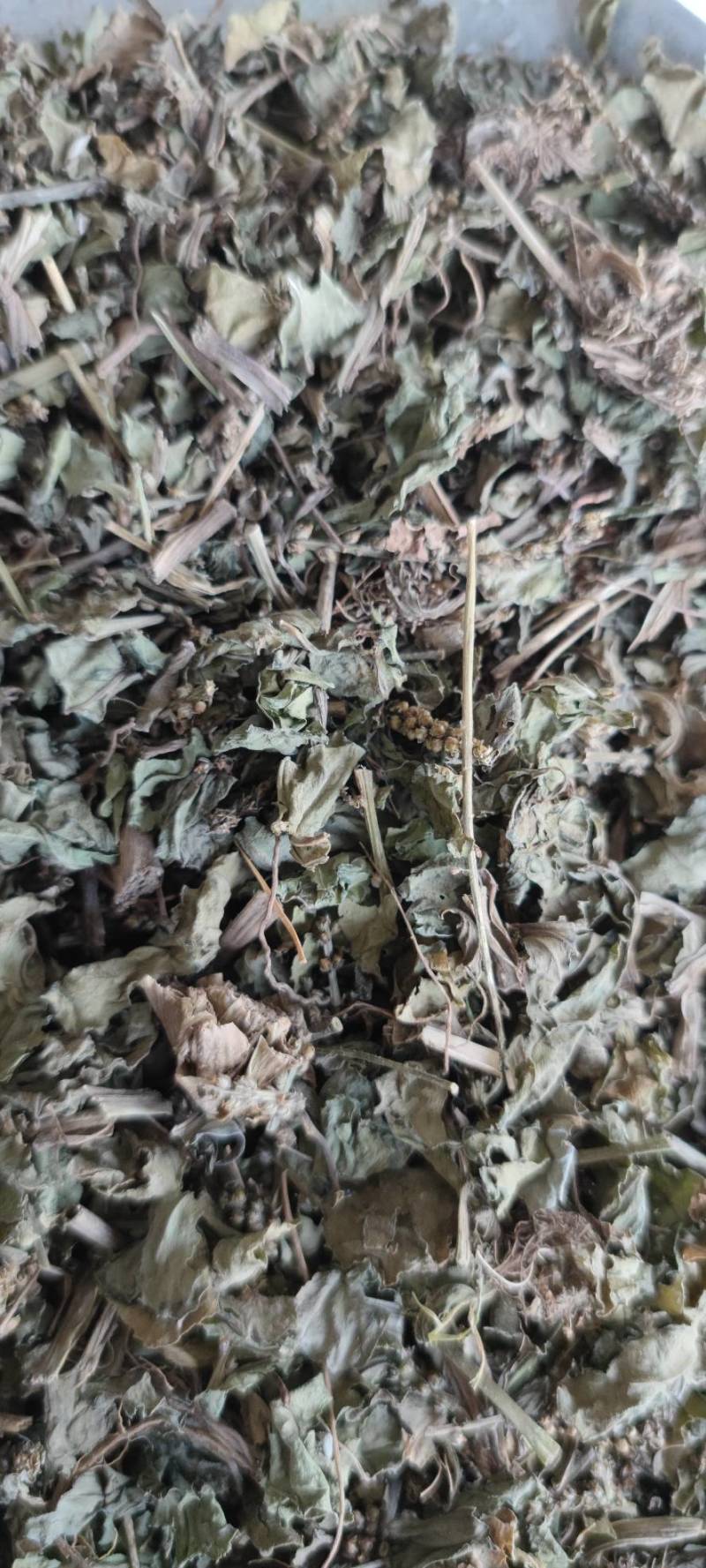车前草自然晾晒无硫纯干青车前草批发零售各种中药材
