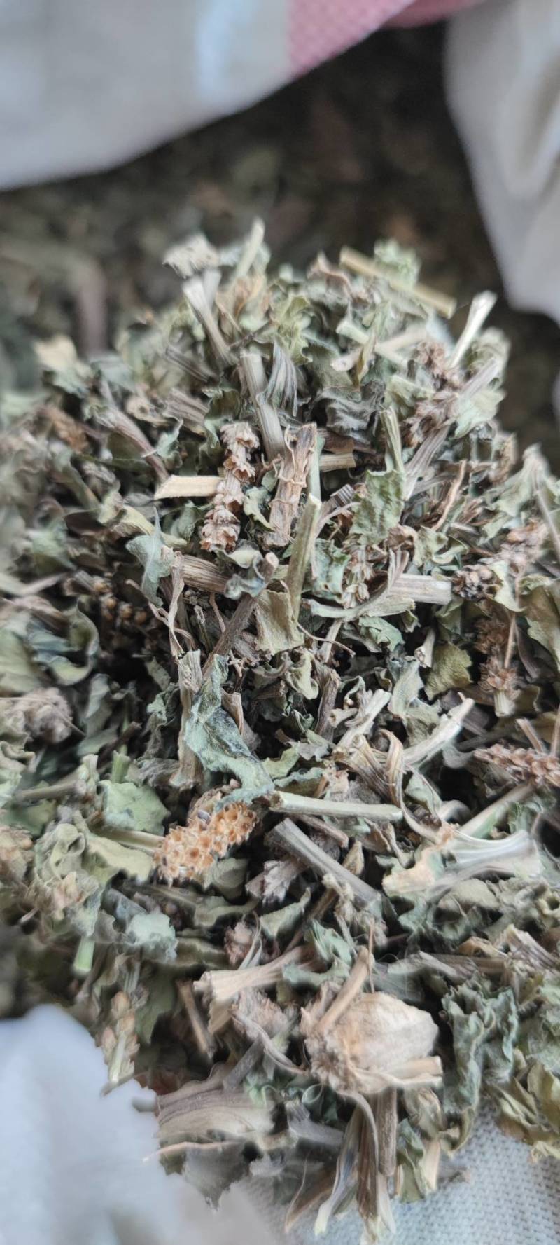 车前草自然晾晒无硫纯干青车前草批发零售各种中药材