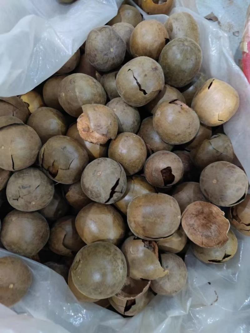 罗汉果全果破果烂果罗汉果大全