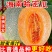 海南直发哈密瓜25号，接所有电商一件代发，量大滴滴