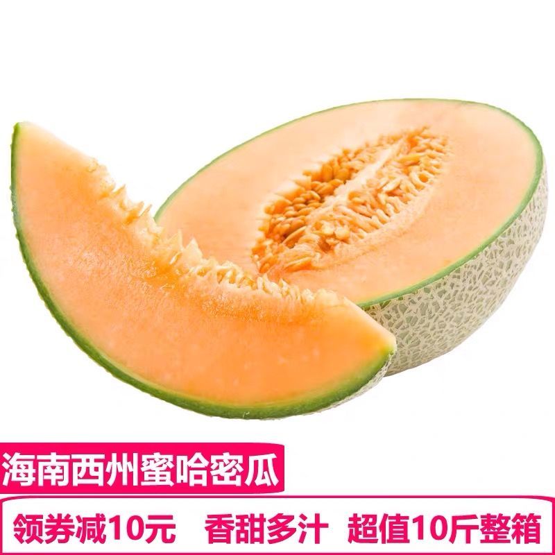 海南直发哈密瓜25号，接所有电商一件代发，量大滴滴