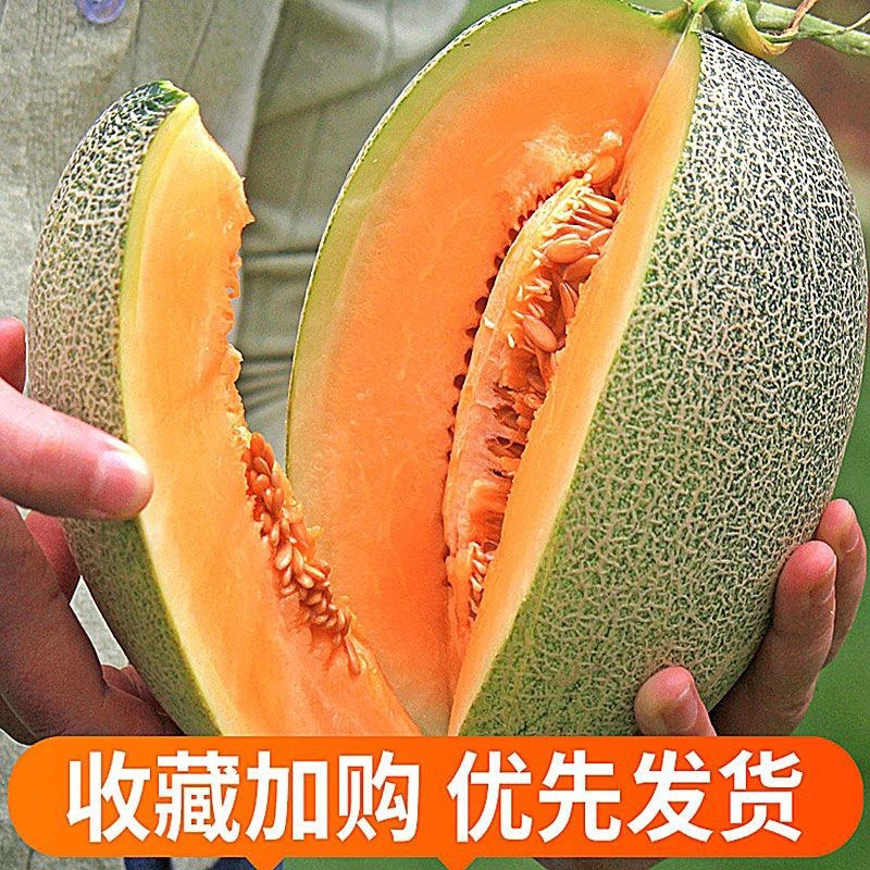 海南直发哈密瓜25号，接所有电商一件代发，量大滴滴